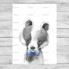 Badger