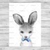Kangaroo