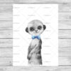 Meercat
