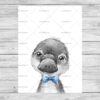 Platypus