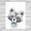 Raccoon