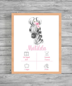 Personalised Safari Zebra Girl's Birth Announcement Frame